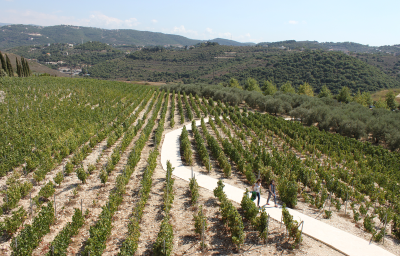 Ixsir Libanon Globalwine
